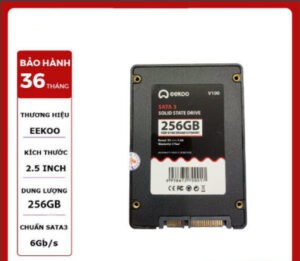 Ổ SSD Eekoo 256gb V100