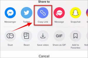 sao chép liên kết tiktok