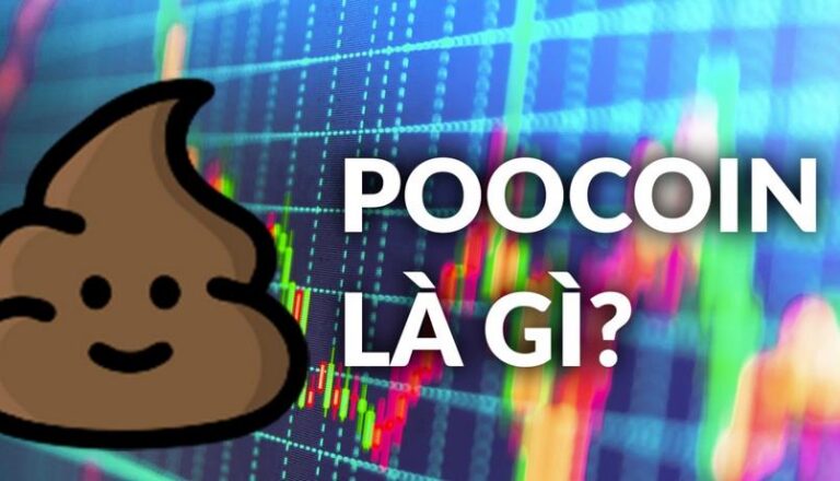 Poocoin Là Gì? Tất Tần Tật Thông Tin Cần Biết Về Poocoin App