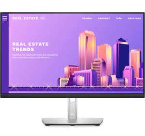 Màn hình Dell P2422H 23.8 inch Full HD