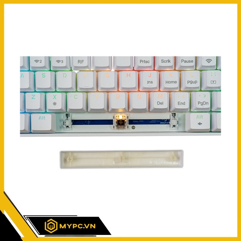Bàn phím chơi game cơ EDRA EK361W v3
