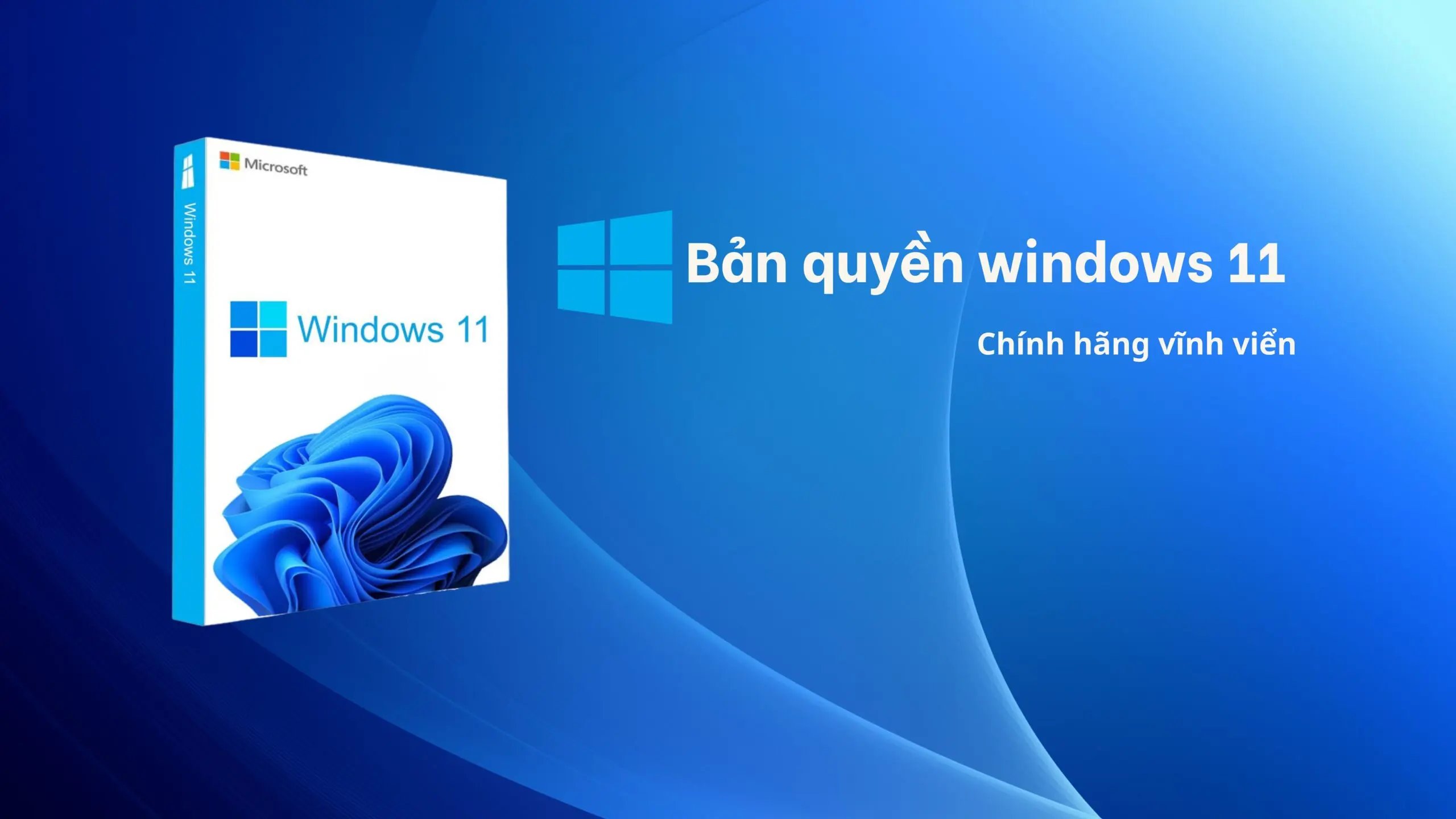 Những quyền lợi win 11 bản quyền đen lại cho người dùng